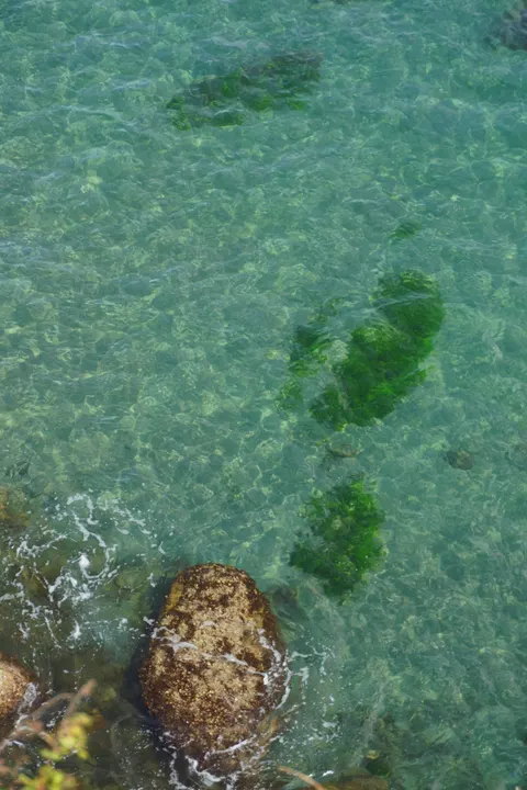 Clear Sea Phone Wallpaper · ocean_v · 1440×2160