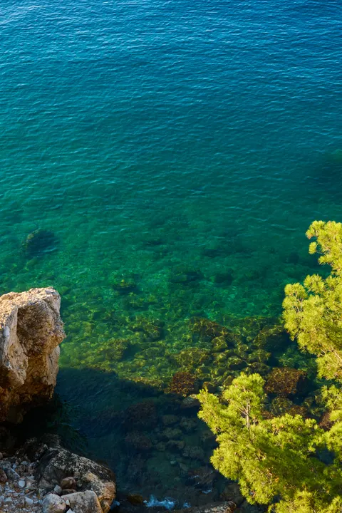 Mare Cristallino Sfondo per Telefono · ocean_v · 1440×2160