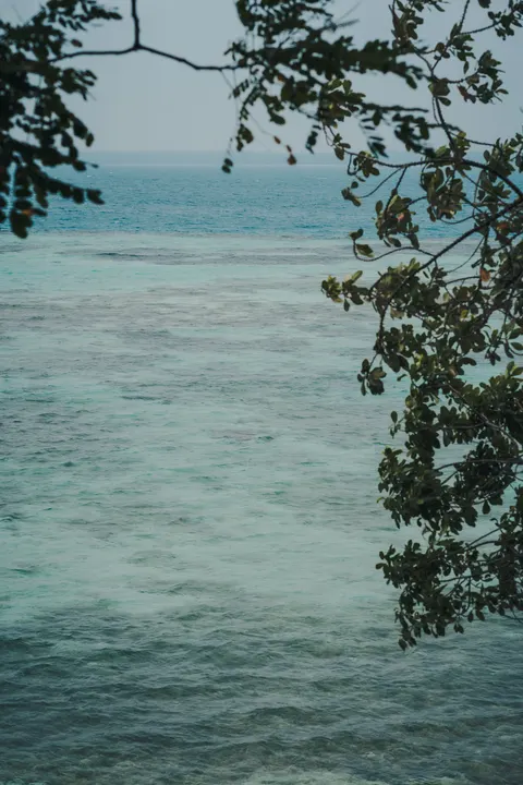 Clear Sea Phone Wallpaper · ocean_v · 1440×2160