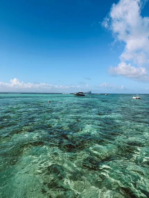 دریای شفاف والپیپر موبایل · ocean_v · 1440×1920