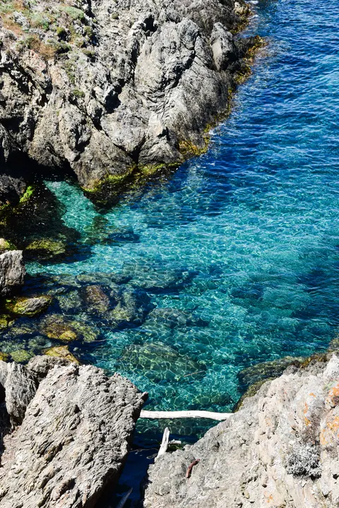 Clear Sea Phone Wallpaper · ocean_v · 1440×2160
