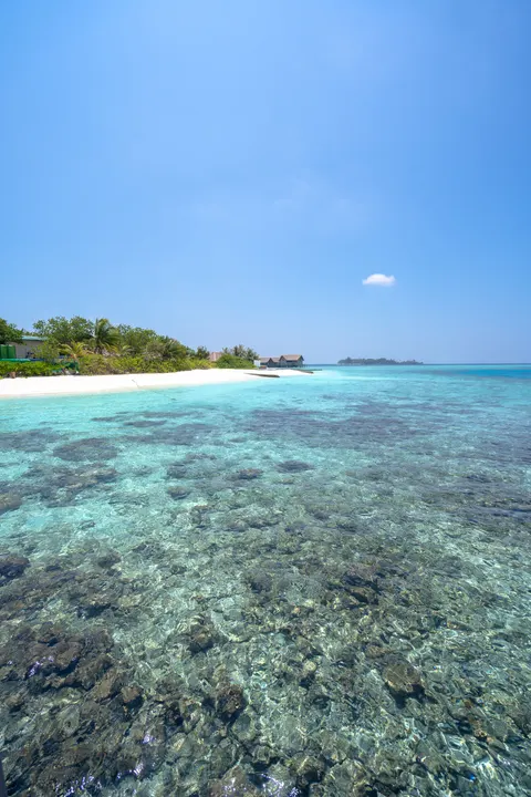 साफ समुद्र मोबाइल वॉलपेपर · ocean_v · 1440×2160