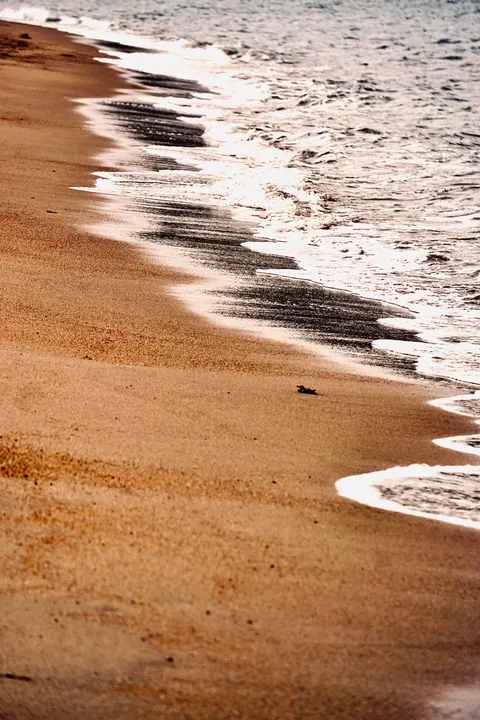 किनारे की लहरें मोबाइल वॉलपेपर · ocean_v · 1440×2160
