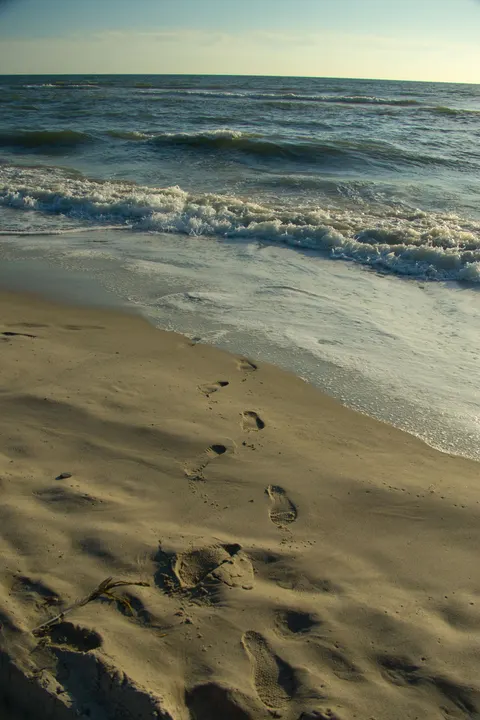 Shore Waves Phone Wallpaper · ocean_v · 1440×2160