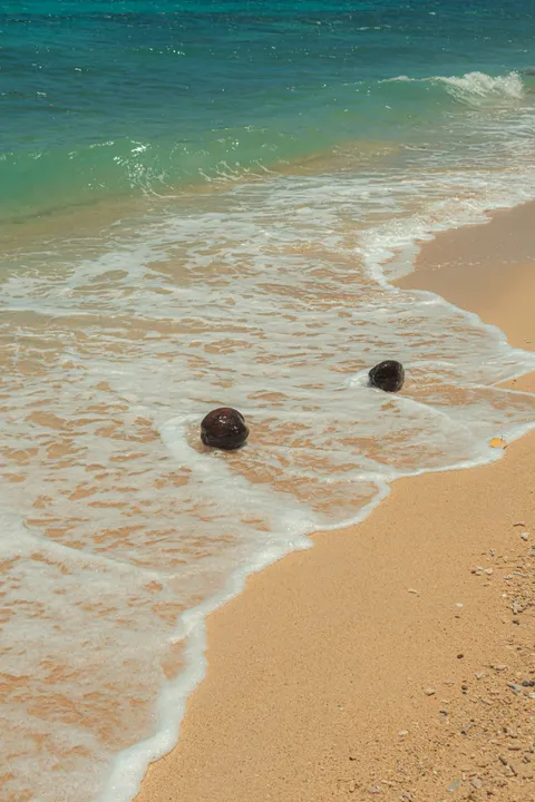 موج‌های ساحل والپیپر موبایل · ocean_v · 1440×2160