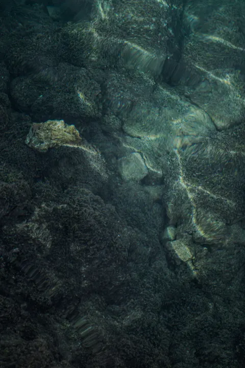 समुद्र के भीतर नीलापन मोबाइल वॉलपेपर · ocean_v · 1440×2160
