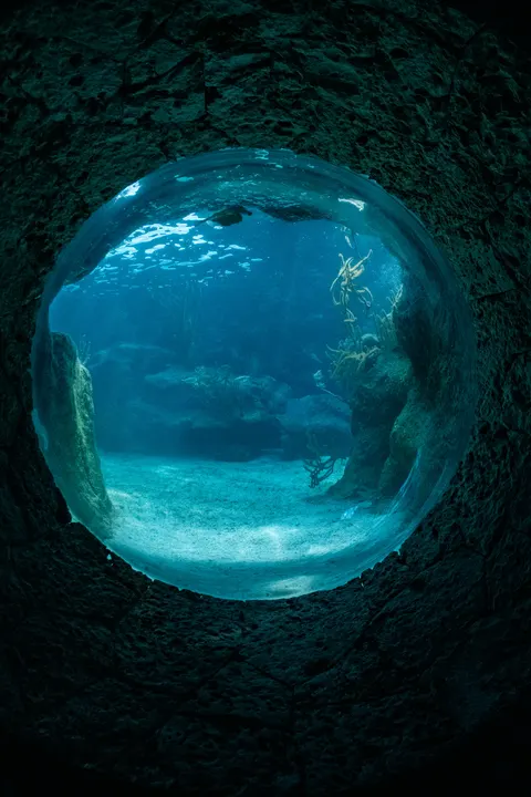 Underwater Blue Phone Wallpaper · ocean_v · 1440×2160