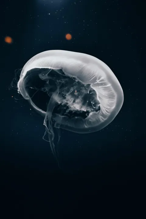 Underwater Blue Phone Wallpaper · ocean_v · 1440×2160