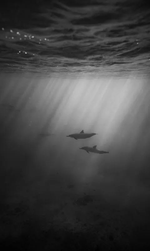 Underwater Blue Phone Wallpaper · ocean_v · 1440×2395
