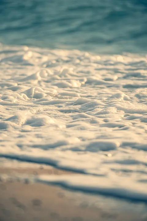 کف دریا والپیپر موبایل · ocean_v · 1440×2164