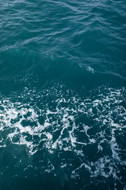 Morska Piana Tapeta na Telefon · ocean_v · 1440×2160