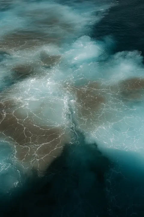 کف دریا والپیپر موبایل · ocean_v · 1440×2160