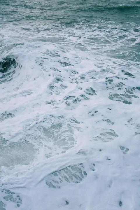 کف دریا والپیپر موبایل · ocean_v · 1440×2160