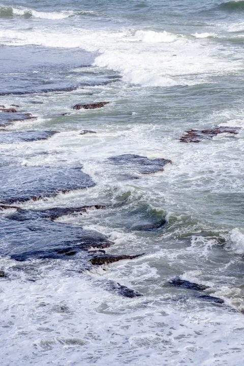 کف دریا والپیپر موبایل · ocean_v · 1440×2158