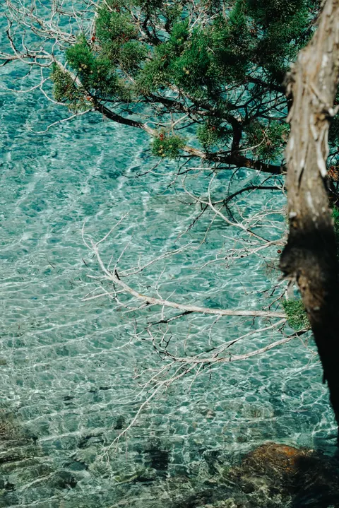 Clear Sea Phone Wallpaper · ocean_v · 1440×2158