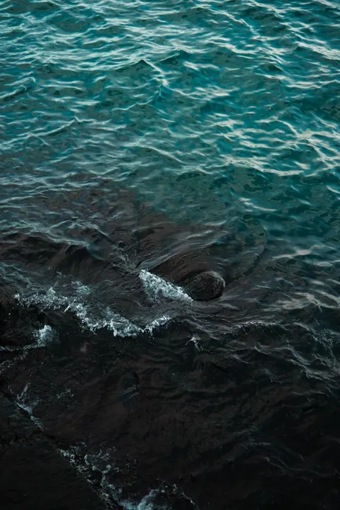 دریای شفاف والپیپر موبایل · ocean_v · 1440×2160