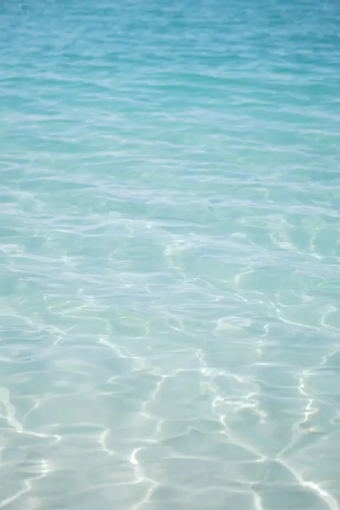 Clear Sea Phone Wallpaper · ocean_v · 1440×2160