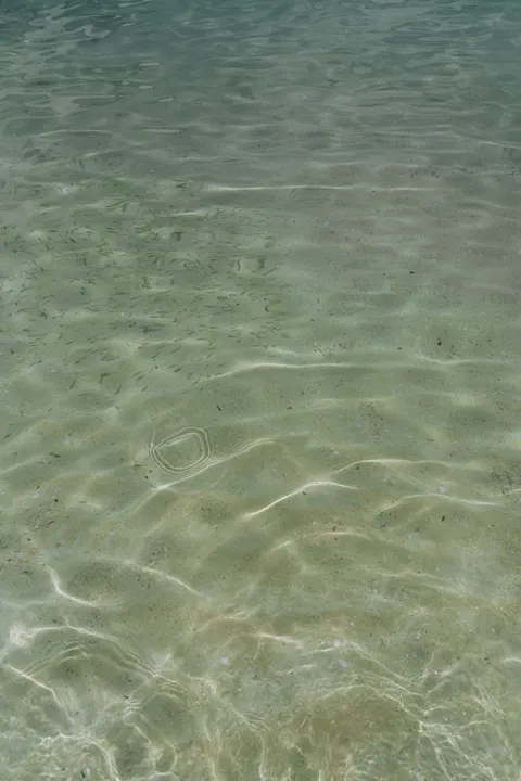 साफ समुद्र मोबाइल वॉलपेपर · ocean_v · 1440×2160