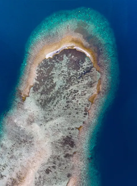 Clear Sea Phone Wallpaper · ocean_v · 1440×1946
