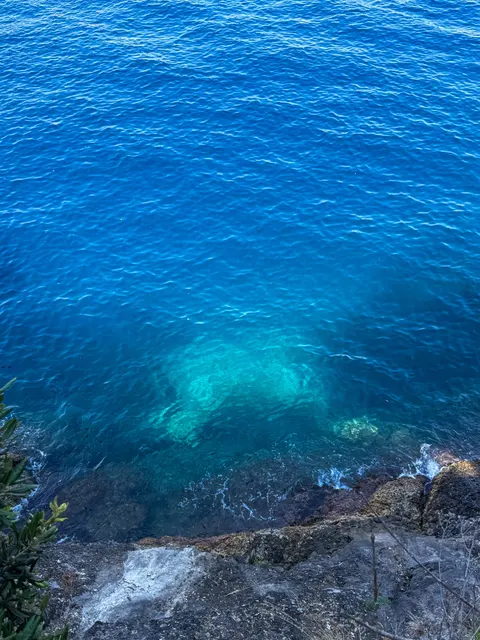 Clear Sea Phone Wallpaper · ocean_v · 1440×1920