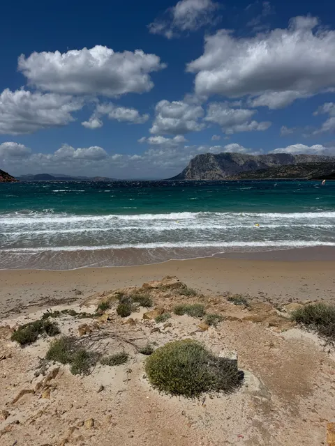 Shore Waves Phone Wallpaper · ocean_v · 1440×1920