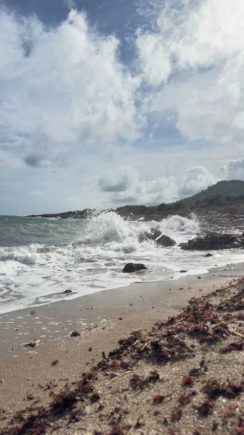 Fond d'écran mobile Vagues sur le Rivage · ocean_v · 1440×2560
