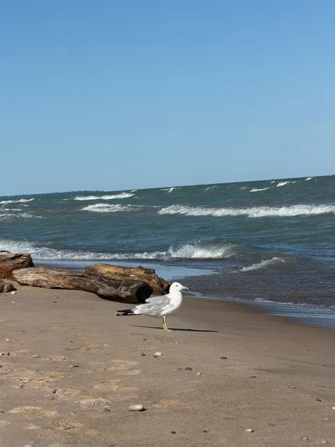 Shore Waves Phone Wallpaper · ocean_v · 1440×1920
