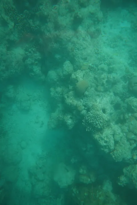Fondo de Pantalla para Móvil Azul Submarino · ocean_v · 1440×2160