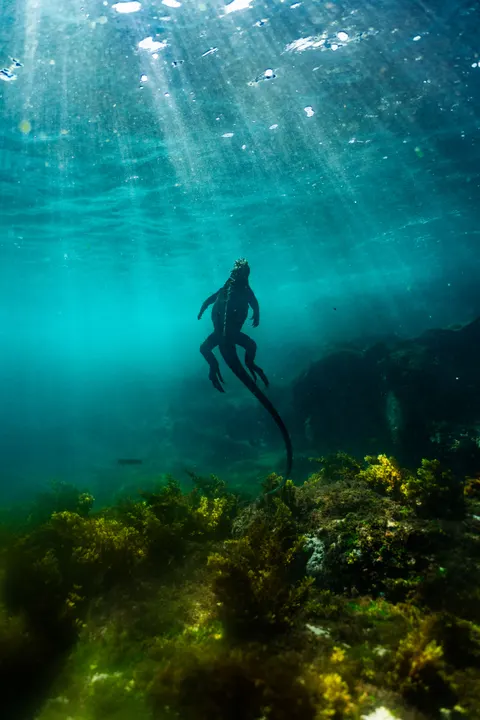 Unterwasserblau Handy-Hintergrundbild · ocean_v · 1440×2159