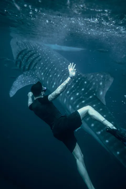 Fond d'écran mobile Bleu Sous-Marin · ocean_v · 1440×2160