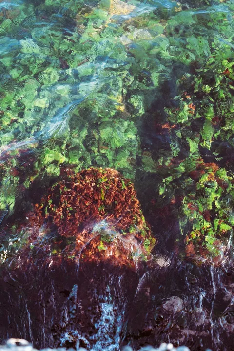 Underwater Blue Phone Wallpaper · ocean_v · 1440×2160