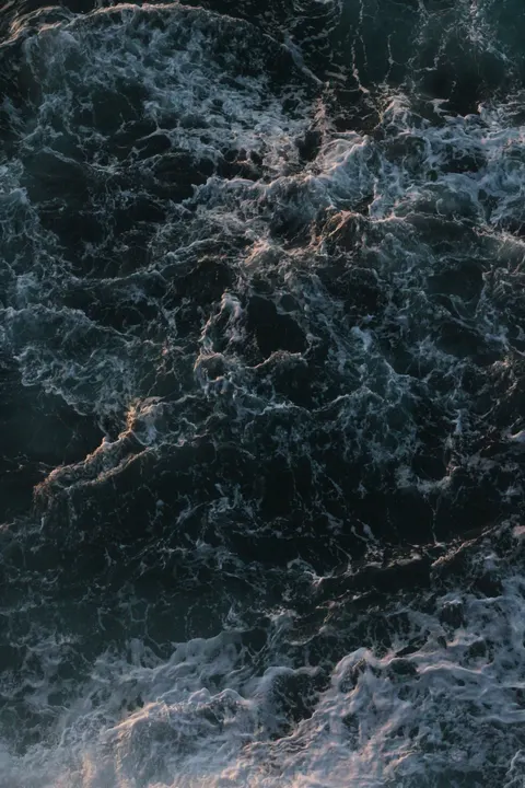 کف دریا والپیپر موبایل · ocean_v · 1440×2160