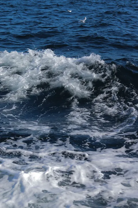 海の泡 スマホ壁紙 · ocean_v · 1440×2160