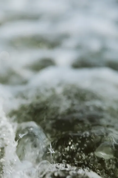 کف دریا والپیپر موبایل · ocean_v · 1440×2160
