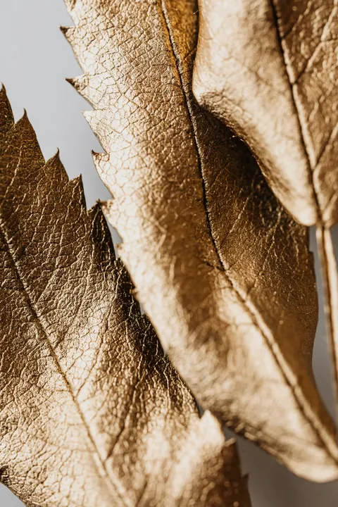 Gold Luxury Phone Wallpaper · luxury · 1440×2160