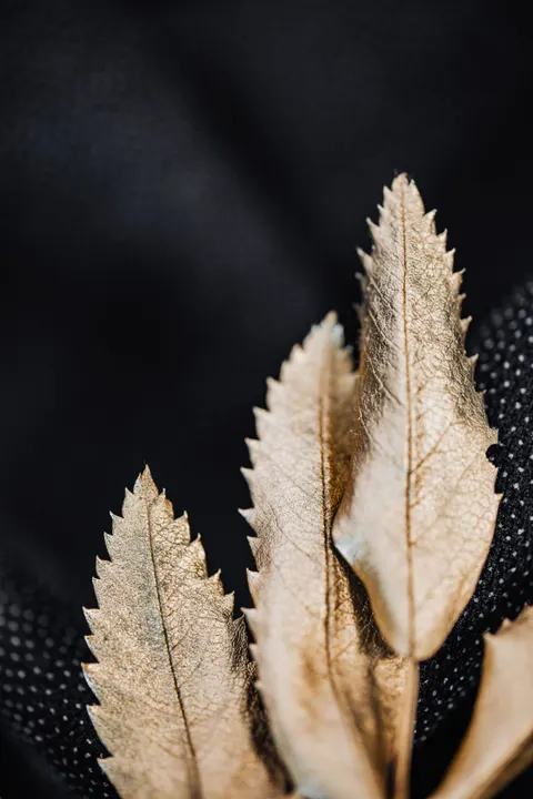 Gold Luxury Phone Wallpaper · luxury · 1440×2160
