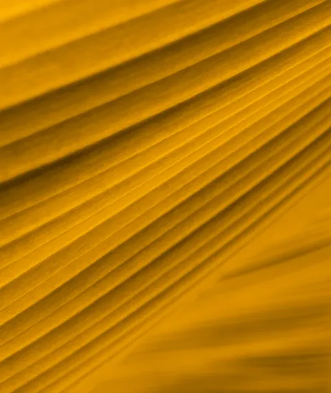 Gold Luxury Phone Wallpaper · luxury · 1440×1709