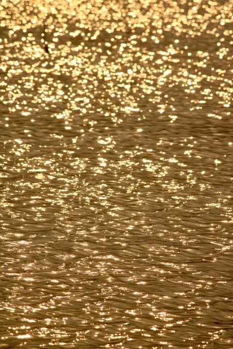 Gold Luxury Phone Wallpaper · luxury · 1440×2160