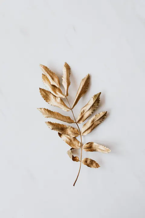 فخامة ذهبية خلفية للجوال · luxury · 1440×2160