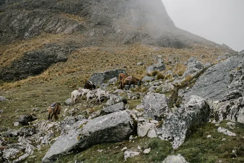 Machu Picchu 4K Wallpaper · travel · 3840×2560