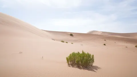 Çöl Kumulları 4K Duvar Kağıdı · nature · 3840×2161