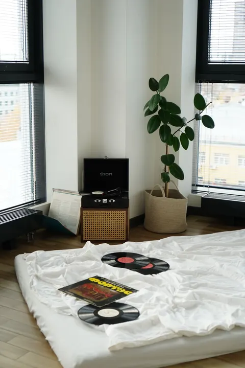 Fond d'écran mobile Vinyle · retro · 1440×2160