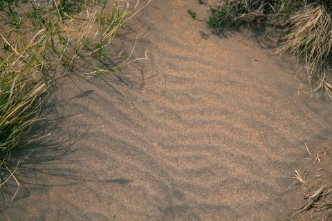 Sand Ripples 4K Wallpaper · minimal · 3840×2560