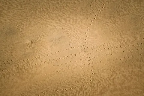 Sand Ripples 4K Wallpaper · minimal · 3840×2560