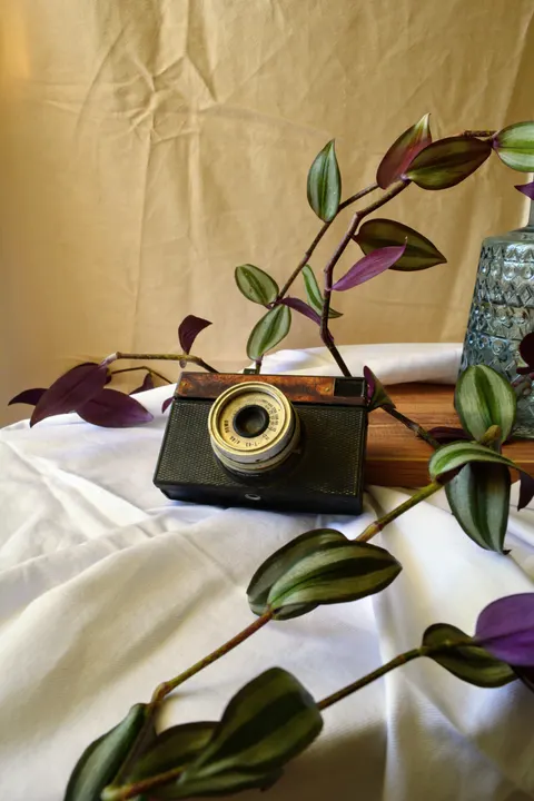 Vintage Camera Phone Wallpaper · retro · 1440×2160