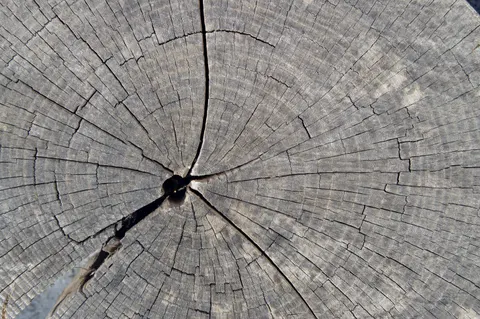 Wood Grain 4K Wallpaper · minimal · 3840×2553