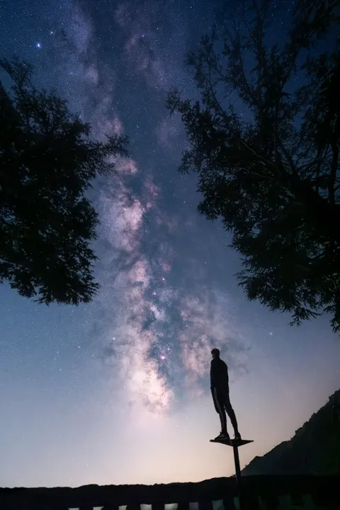 Night Silhouette Phone Wallpaper · amoled · 1440×2160