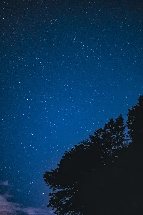 Night Silhouette Phone Wallpaper · amoled · 1440×2160