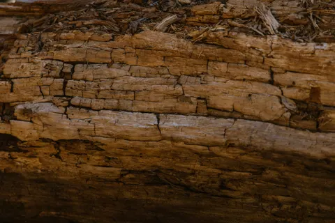 Wallpaper Serat Kayu 4K · minimal · 3840×2560