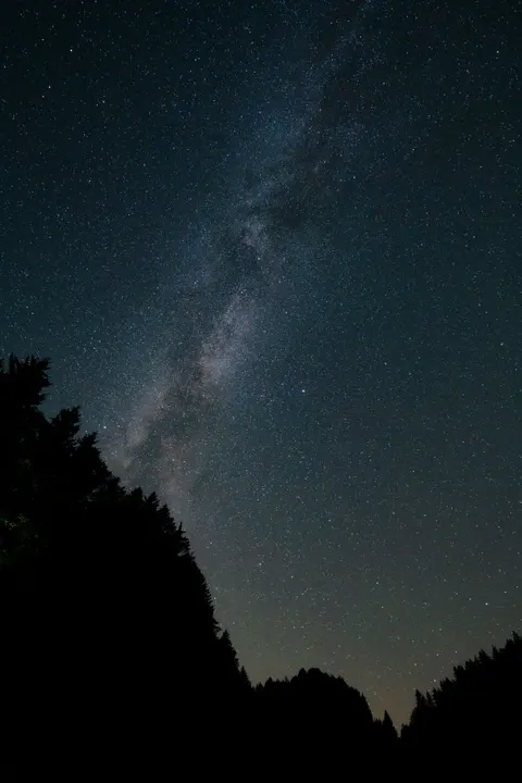 Fondo de Pantalla para Móvil Silueta Nocturna · amoled · 1440×2160